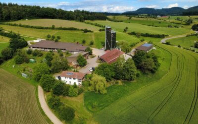 Neues vom Willihof